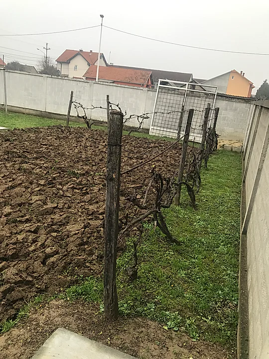 Porodična kuća na 5km od centra Šapca - slika 13