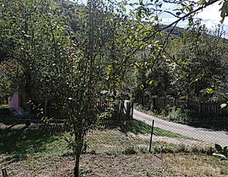 Zemljiste - slika oglasa