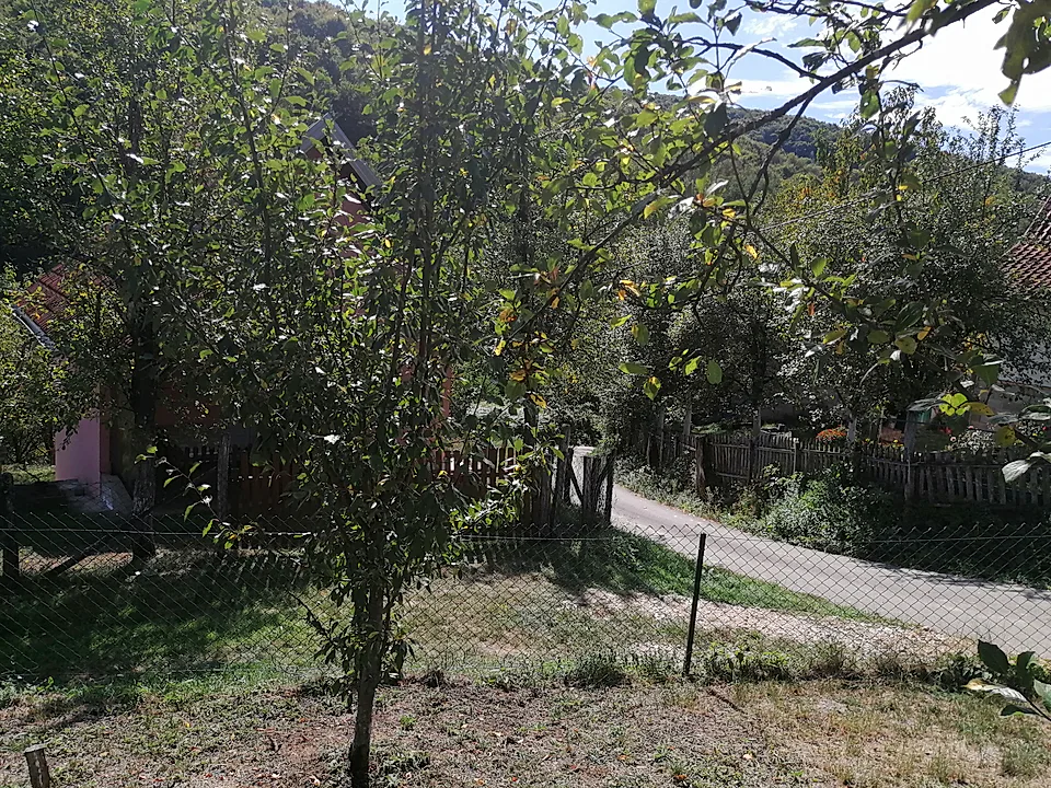 Zemljiste - slika 1