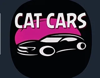 Rentacar Aerodrom Beograd - slika oglasa