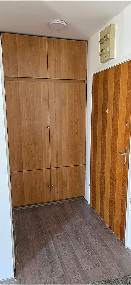 Garsonjera Novi Sad Podbara - slika 7