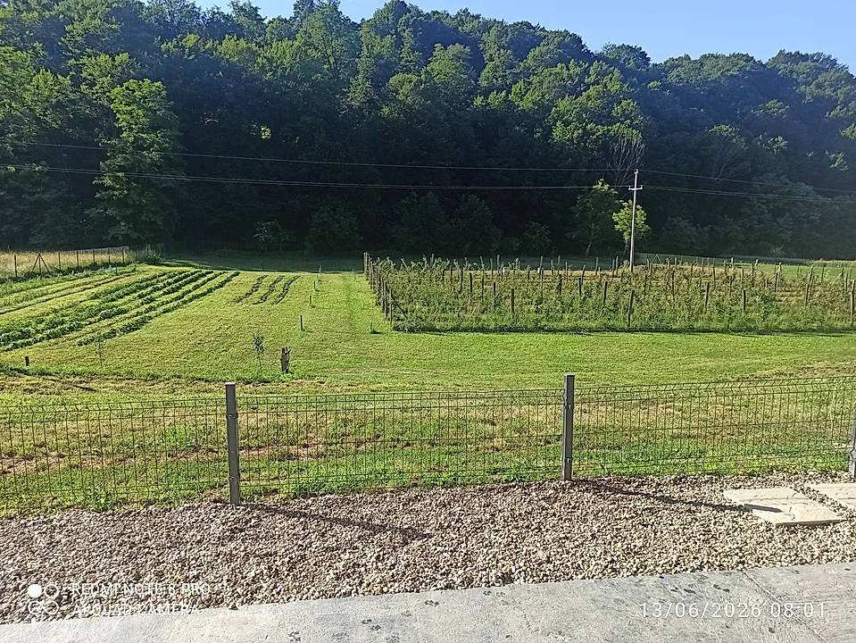 Nova kuća na placu od 6700m2 - slika 7