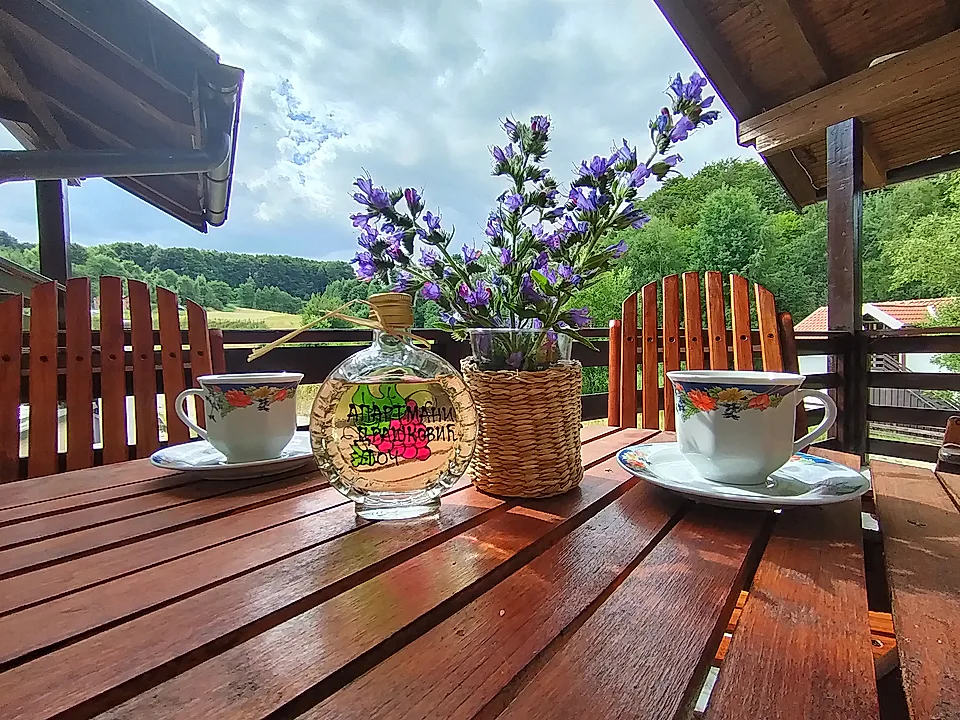 Apartman Drašković Goč - slika 3