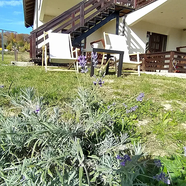 Apartman Drašković Goč - slika 9