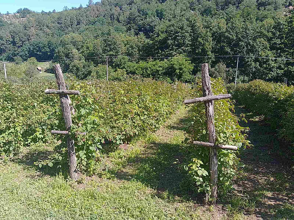Prodaje se novo porodično imanje - slika 3