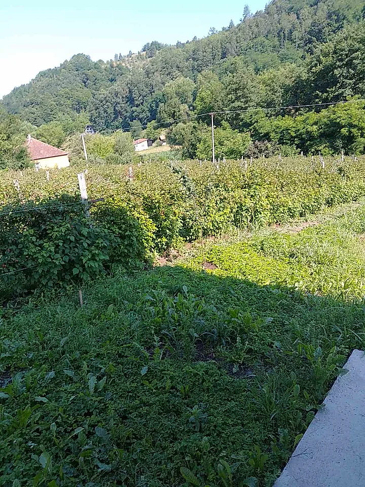 Prodaje se novo porodično imanje - slika 4