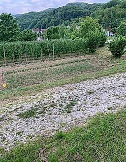 Prodajem plac u Bajinoj Bašti - slika oglasa