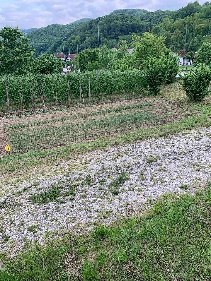 Prodajem plac u Bajinoj Bašti - slika 1