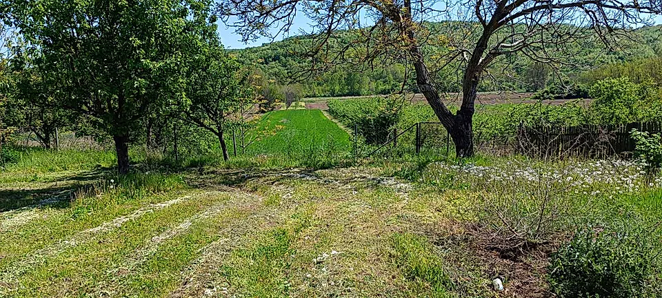 Seosko domaćinstvo, Gornje Brijanje, kuće 180m2, parcele 39.49a - slika 8