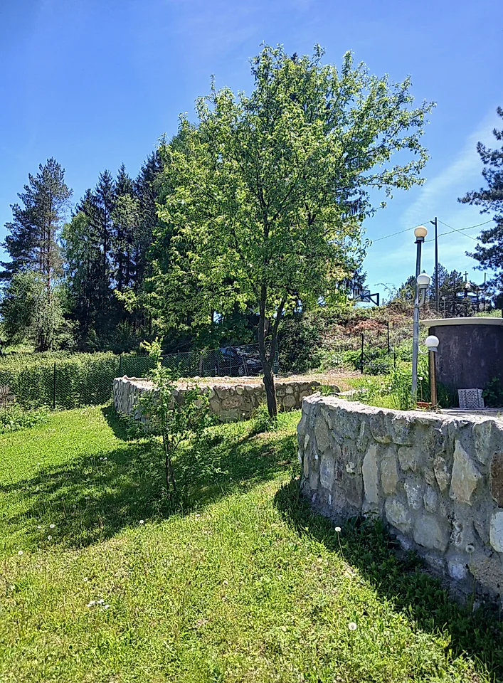 Jelova Gora, planinska vikendica sa zemljištem, pravi raj - slika 10
