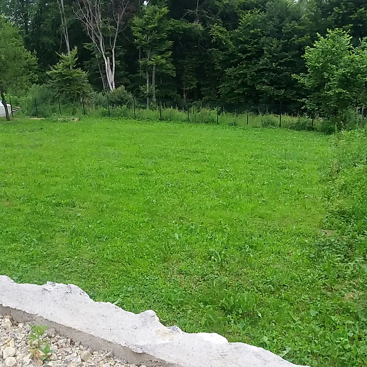 Jelova Gora, planinska vikendica sa zemljištem, pravi raj - slika 13