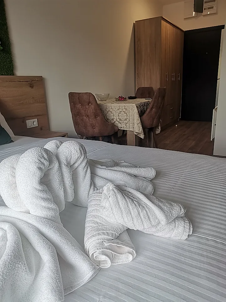 Apartman Bela Zora - slika 3